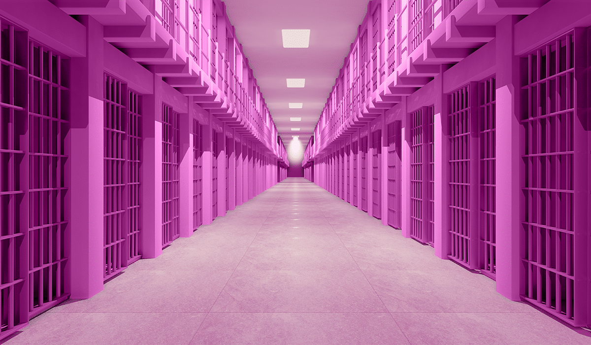 drunk tank pink - pink prison bars to calm violent prisoners