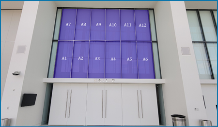 Tondee's windows and doors