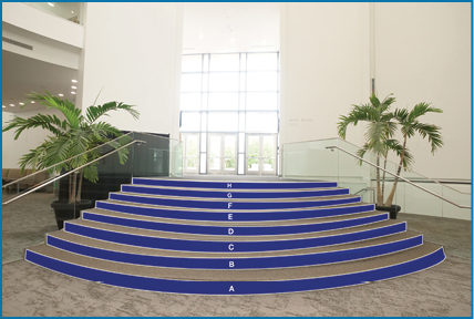 Tondee's windows and doors